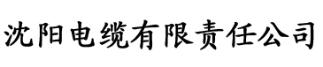 仙女校花包玉婷电缆厂logo